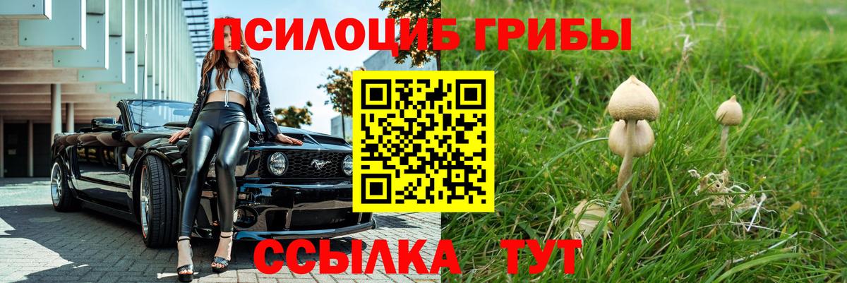 Верхняя Салда  Галлюциногенные грибы Cubensis  Вход с VPN  Галлюциногенные грибы GOLDEN TEACHER 