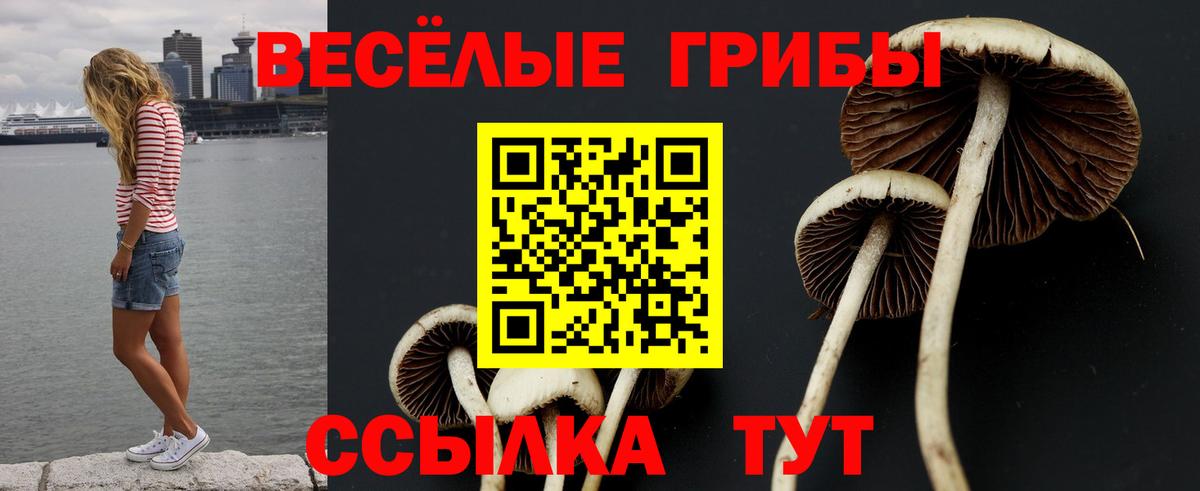 Галлюциногенные грибы Psilocybine cubensis Верхняя Салда